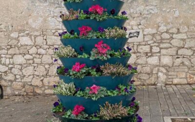 Nazorovci zasadili začinsko bilje