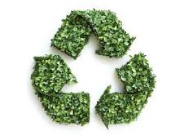 Green Steps for a Sustainable Future