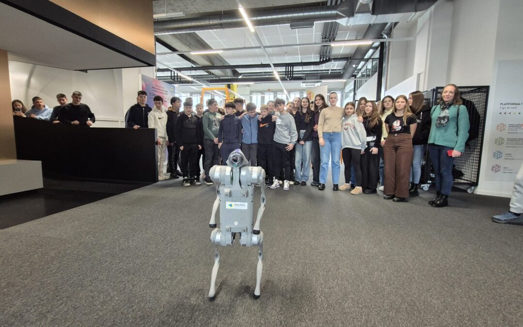 Istrabot liga