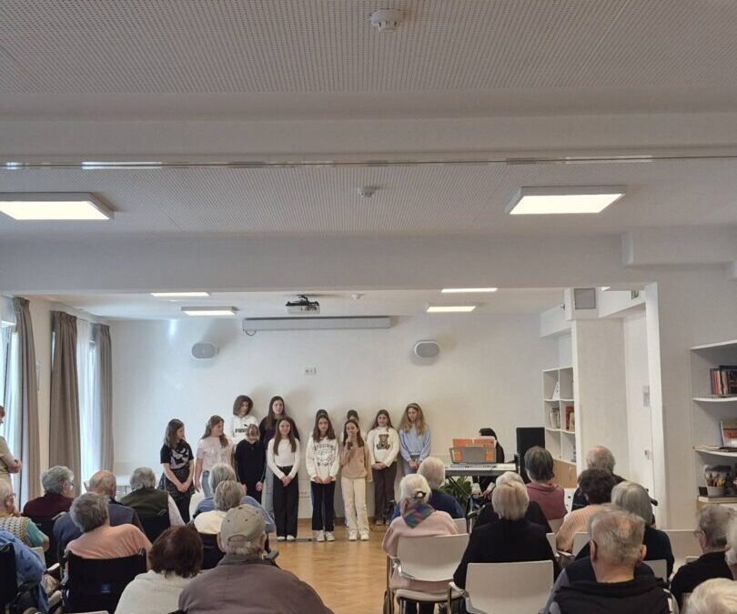 Priredba u Domu za starije Domenico Pergolis