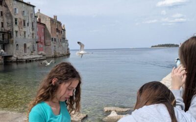 Anketa o poznavanju zagađenosti mora